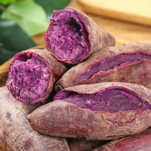 新鲜紫薯板栗红薯地瓜番薯蜜薯山芋农家自种小香薯沙地小红薯5斤16.8